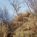 ���׻����λ��λ�ĺľ�����Ф�