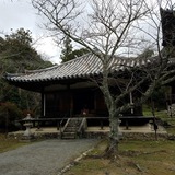 ���Ի� ���Ʋ