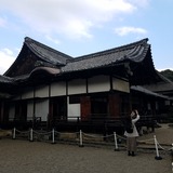 醍醐寺 三宝院 表書院