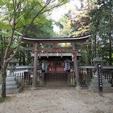 ��������ס��������