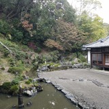 ���Ի� ̾������(������)