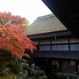 醍醐寺 三宝院 純浄観