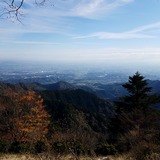 ����ƽ����³��������������ʿ����������̤�˾��