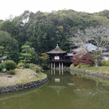 ���Ի� ��ŷ�Ӥ���ŷƲ