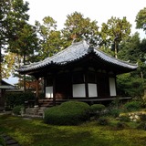 ��������סĻ��㱡 ��Ʋ