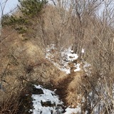 �䥻�������л�ƻ��