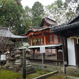 ��������ס��������� ����