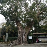 ʴ�ϻ� �����ϤΥ����Υ�