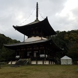 ���Ի� ����