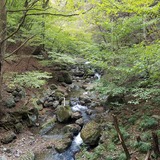 ��Ω��ι���