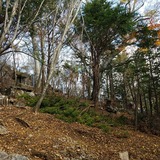 ��û���ĺ����㬷�