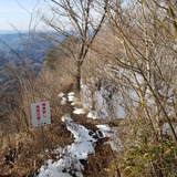 �䥻�������л�ƻ