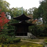 ��������סĻ��㱡 ¿����