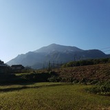 ����Į���鸫��ͺ�����û�