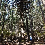 ����ι���(ɸ��1000m)