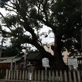 ʴ�ϻ� ����ҤΥ����Υ�(�����)