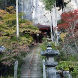 ��ΩƲ(����28�ֻ���)