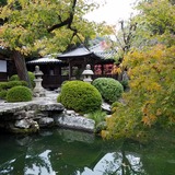 ʴ�ϻ� �и���