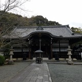 ���Ի� �����������