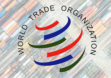 WTO01