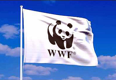 WWF01