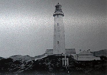 nojima41