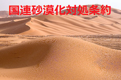 kokurensabakukataishyojyouy