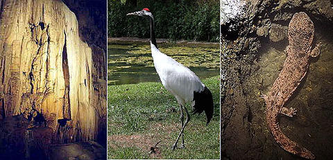 tokubetsutennenkinenbutsu01