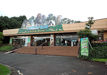 nihonmonkeycenter01