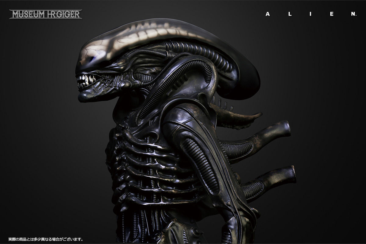 Big Chap Alien : fukuro