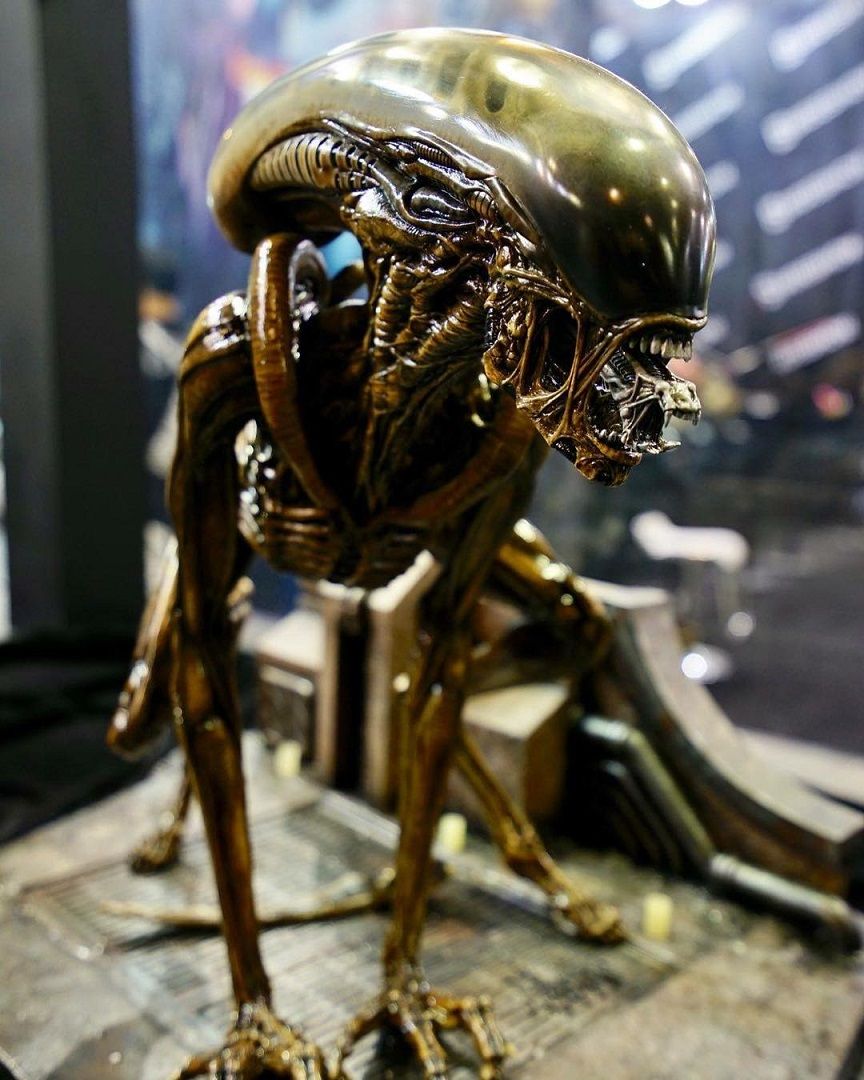 Big Chap Alien : fukuro