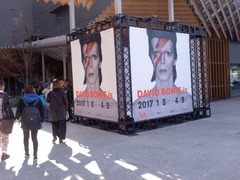 DAVID BOWIE is_20170217 (4)