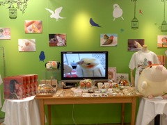 小鳥のアートフェスタ (2)