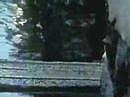 d15ccf03.jpg