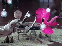 9b7155a4.jpg