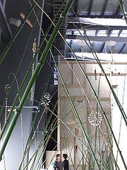 d1762d05.jpg