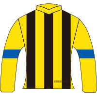 ソウルスターリング(2017オークス優勝馬)