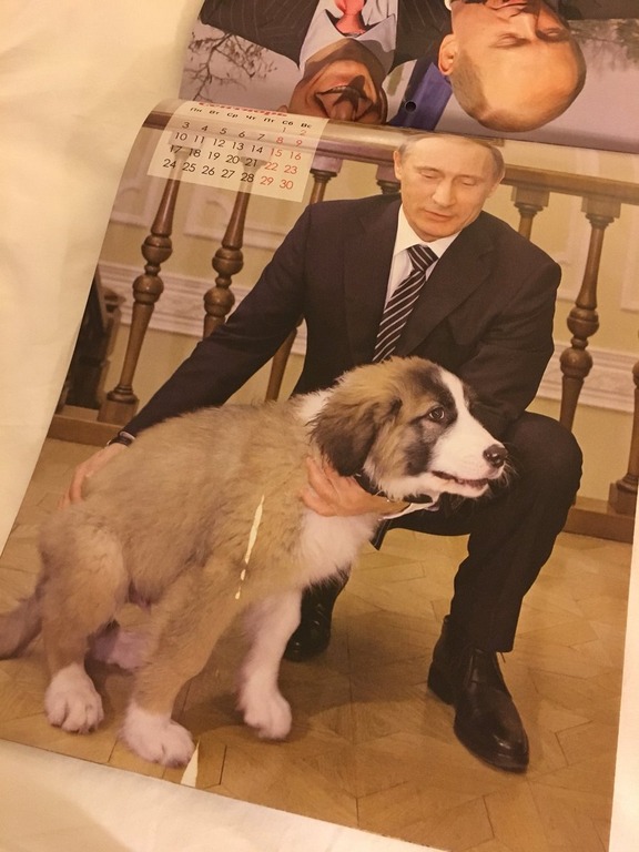 ヒトラーが描いた犬の絵wwwwwwwwwwwwwwwwww 卍 画像あり W ヒトラーが描いた犬の絵wwwwwwwwwwwwwwwwww 卍 画像あり W