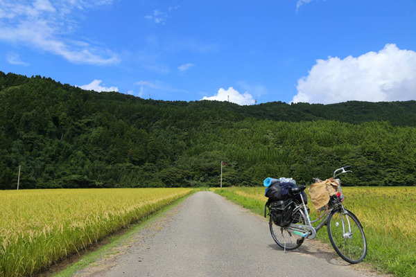 夏画像 画像あり W 夏画像 画像あり W
