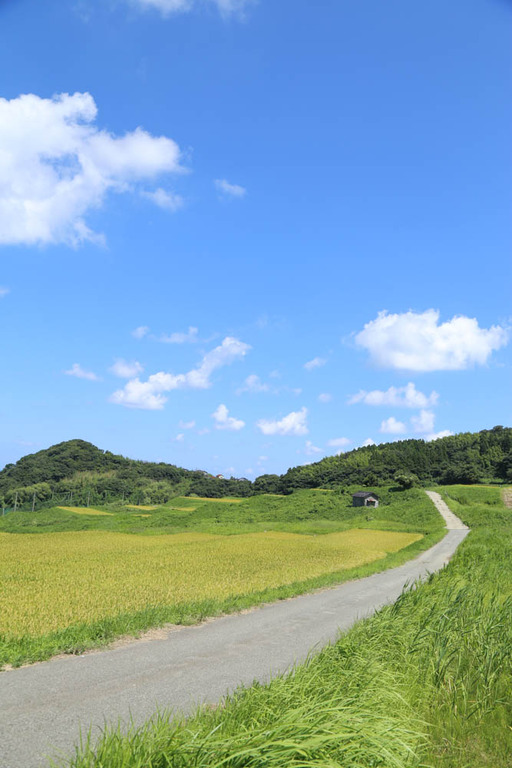 夏画像 画像あり W 夏画像 画像あり W