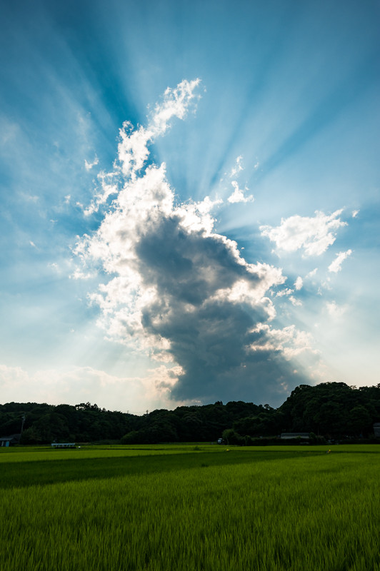 夏画像 画像あり W 夏画像 画像あり W