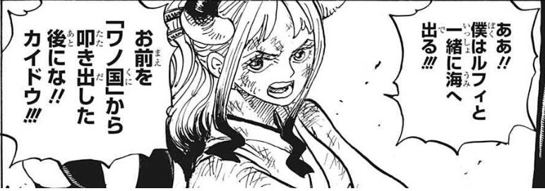 速報 ルフィ海賊団の最後の仲間 確定する 画像あつめーる