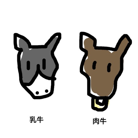 Twitterの博識女の子 顔の片側だけ黒い模様の牛 遺伝的にありえないから 酪農家 画像あつめーる