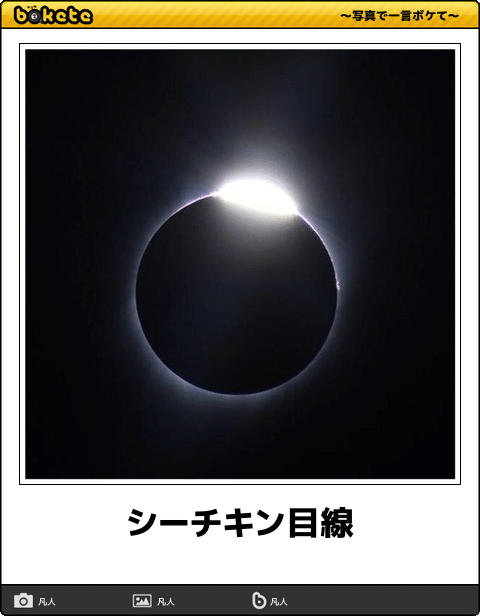3大秀逸な発想のbokete シーチキン目線 待って 小島よしおは 画像あつめーる