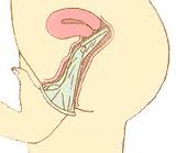 【女体】膣にまつわる10個の不思議
