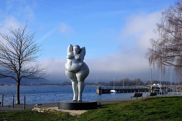 lake-constance-1937136_640