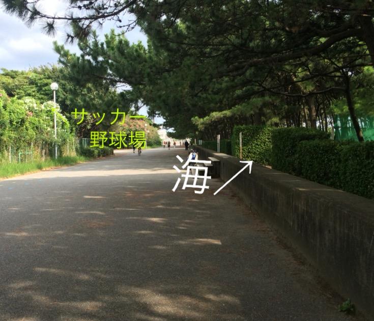gビーチナビ 海岸への行き方