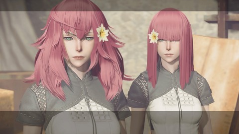 nier21