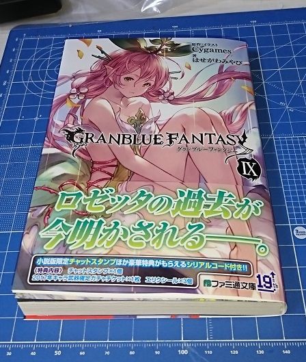 novel091