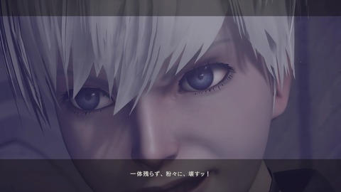 nier25
